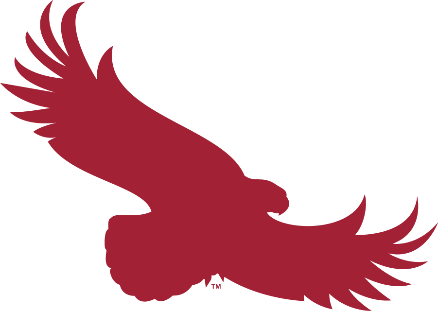 St. Joseph's Hawks 2018-Pres Alternate Logo iron on transfers for clothing